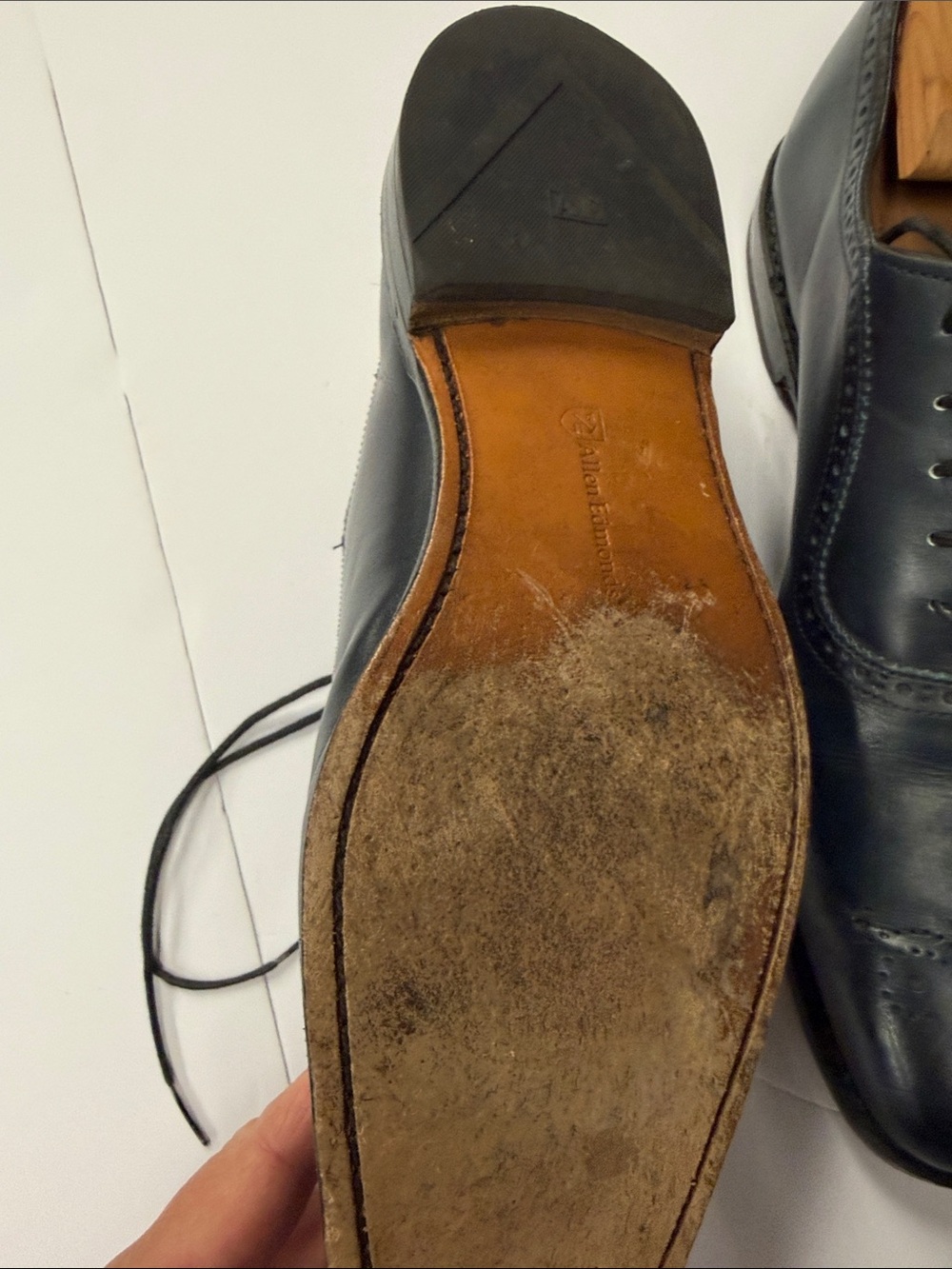 Allen Edmonds Men's Dark Navy Leather Wingtip Oxfords - Picture 2 of 6